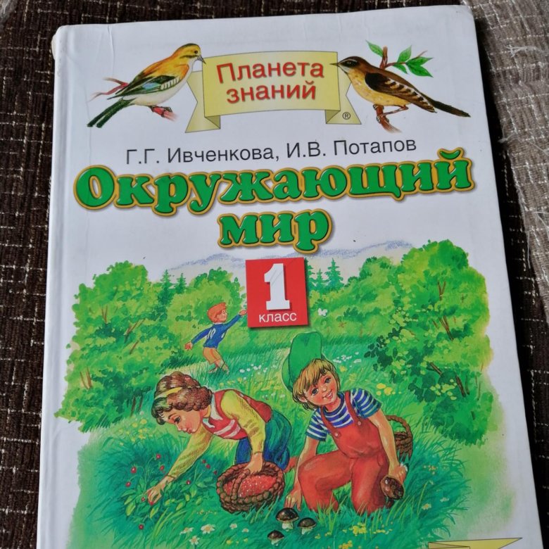 Планета знаний тетради. Электронная книга Планета знаний.